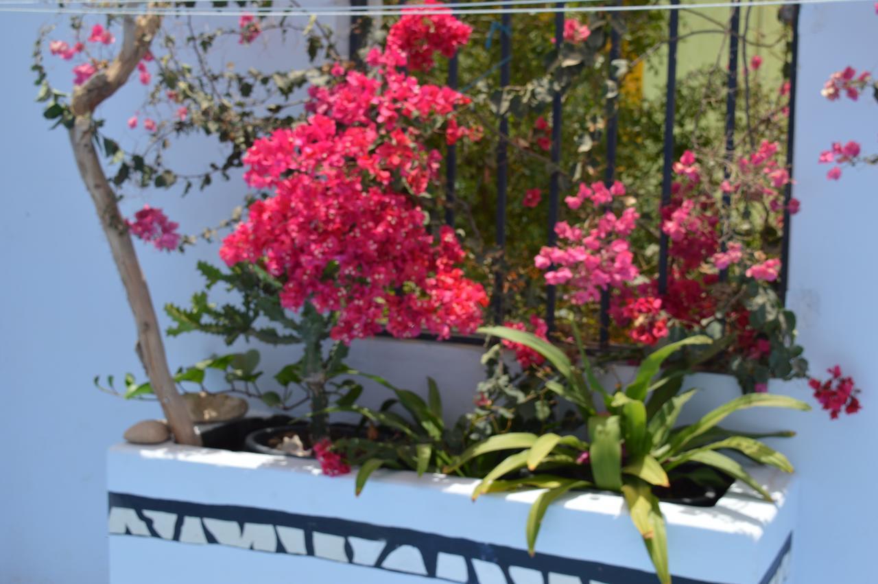 Bed and Breakfast Yacht Club Sal Palmeira Exterior foto